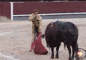 Getting-The-Horns.gif