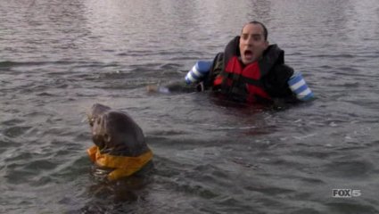 ad-seal.jpg