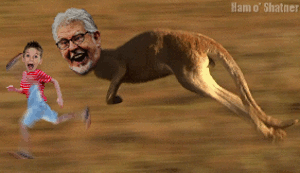 KangaRofl.gif