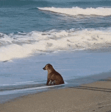 sad-sea.gif