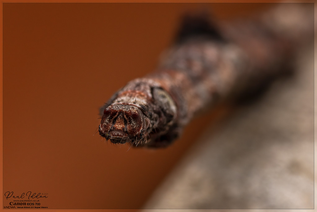 livingstick01_4k_1800-XL.jpg