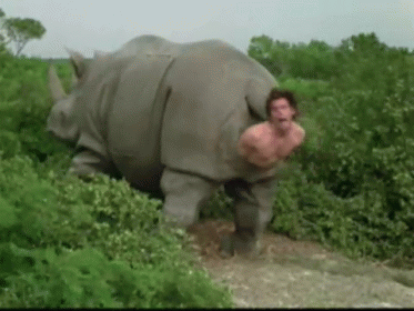 ace-ventura-rhino-birth.gif