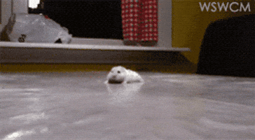 See the source image