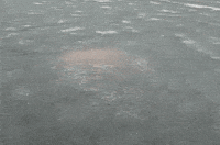 200w.gif