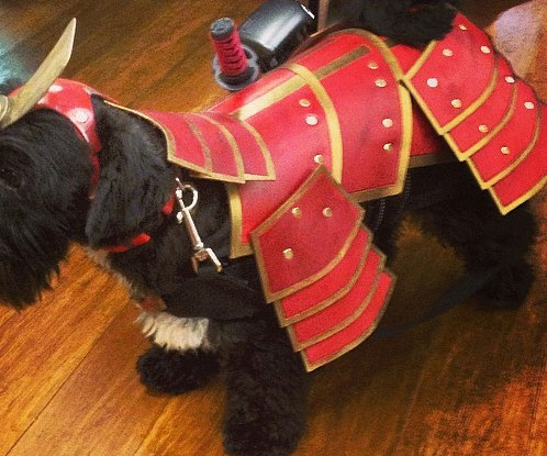 samurai-armor-dog-costume1.jpg