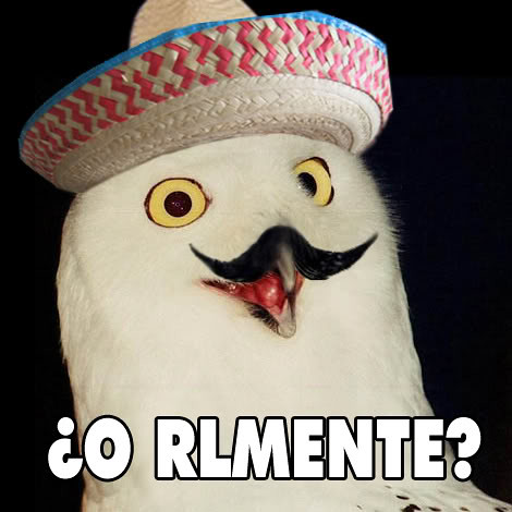 3863857212_4e46a43d0a.jpg