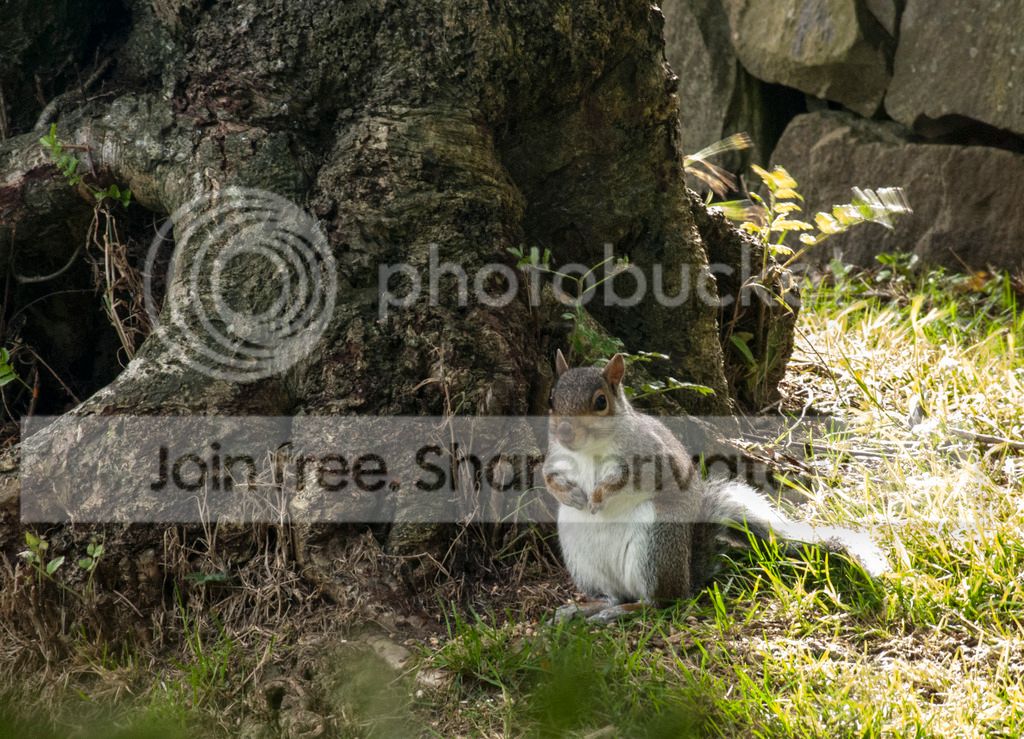 DSC_0624_zpssxpfdfwy.jpg