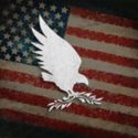 thelibertarianrepublic.com