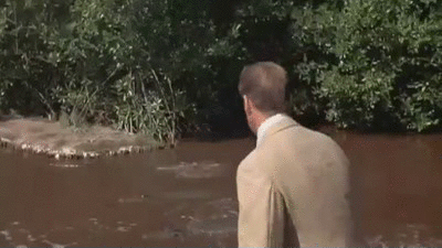 CLzEl94.gif