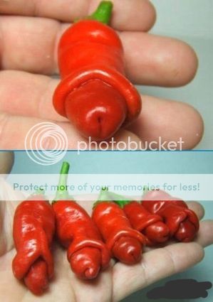 PepperOrPenis.jpg