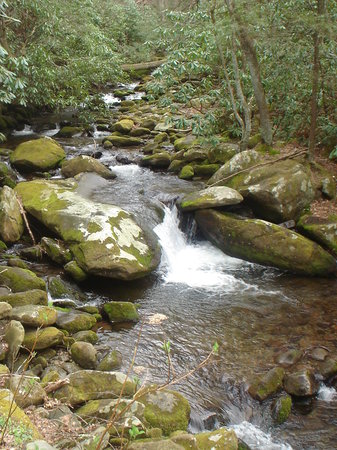 mountain-stream.jpg