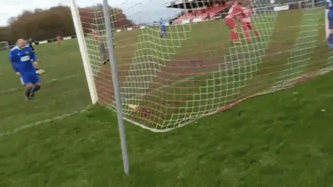giphy.gif