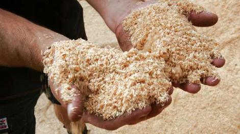 sawdust01.jpg