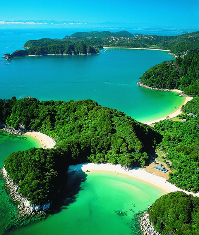 nz1.jpg