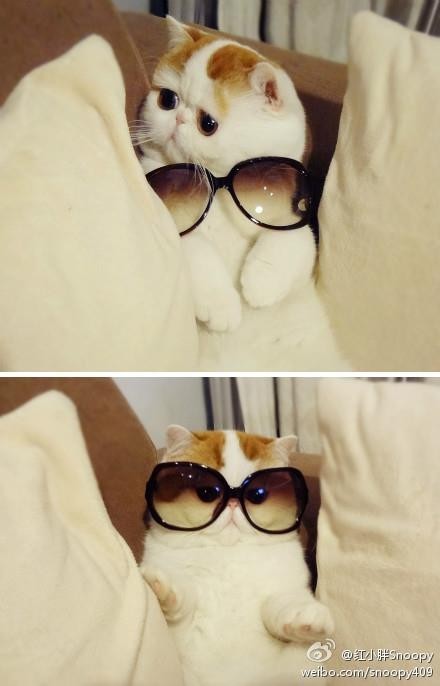 tumblr_mgg5hc2qgj1s0yx2co1_500.jpg