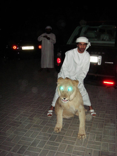 tumblr_l8c8fqGBCU1qb97o8o1_400.jpg