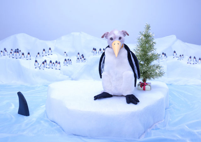 Penguin-2011-.jpg