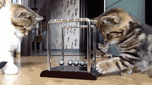 125.gif