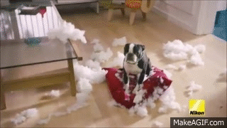 fbSFzw.gif