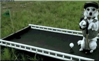 200.gif