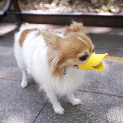 tumblr_m9t6aptai81qzo3c9o1_500.jpg