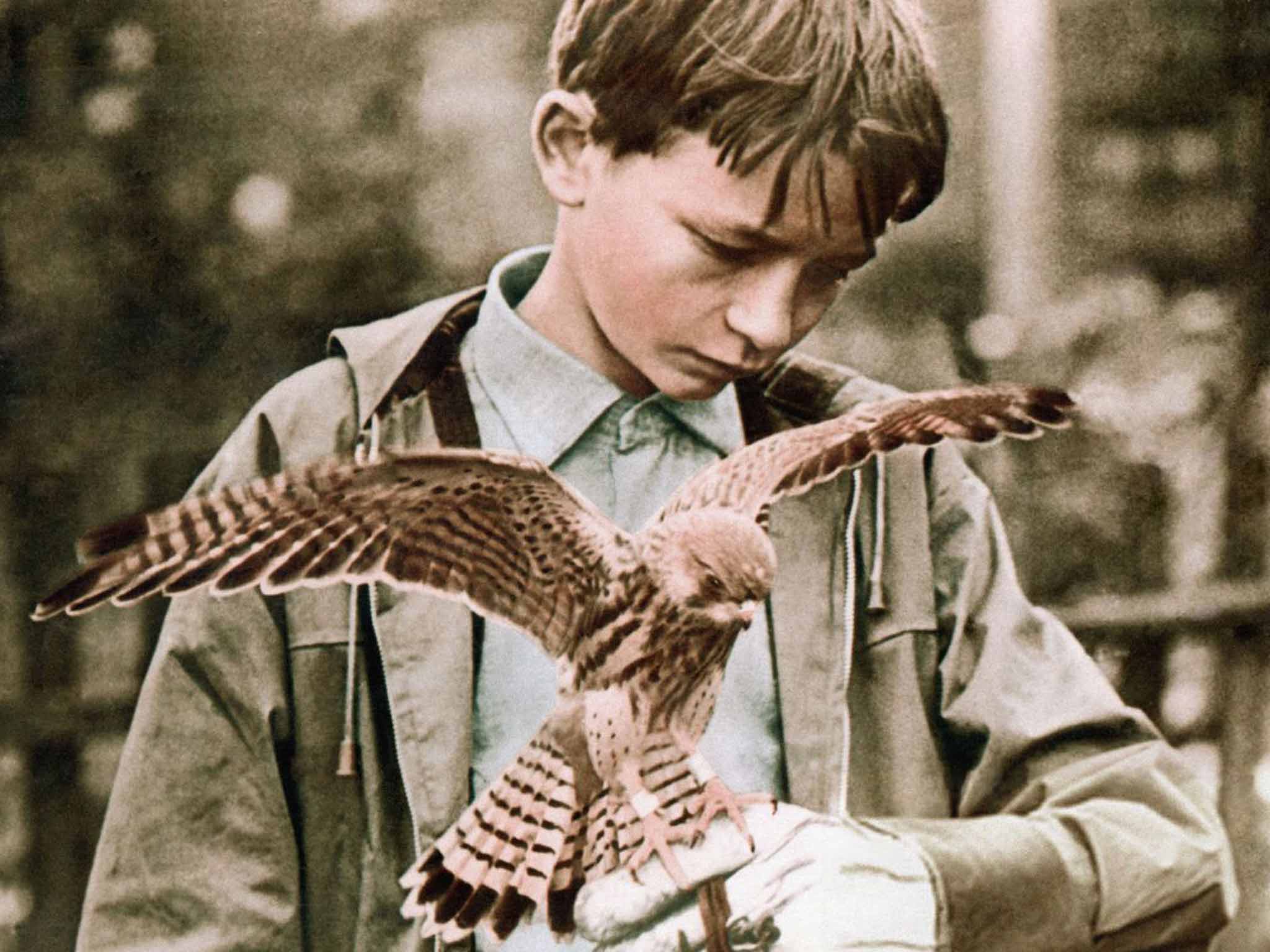 kes-rex.jpg