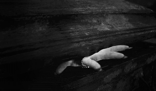tumblr_mg8p4srdLb1rko4uyo1_500.gif