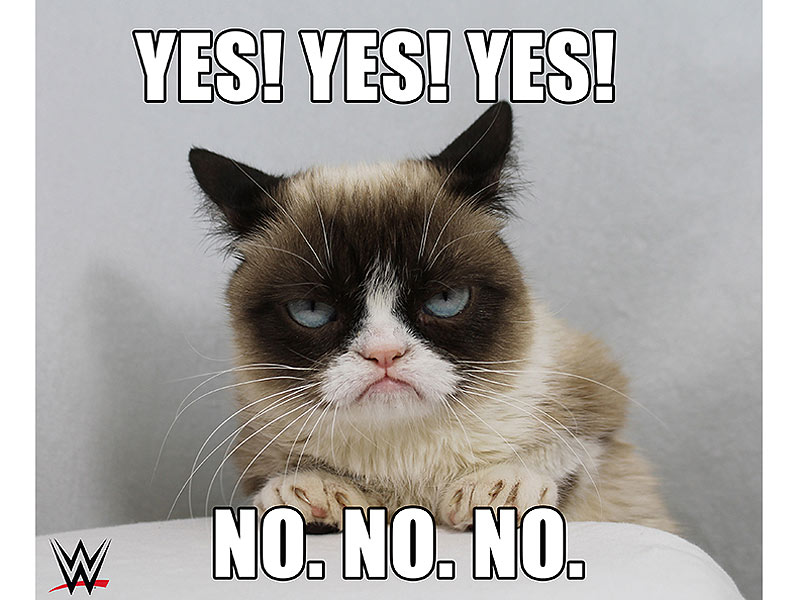 grumpy-cat-800.jpg