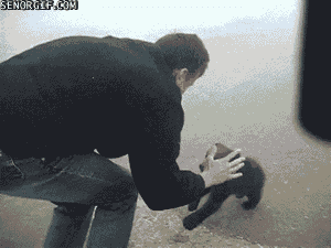 giphy.gif