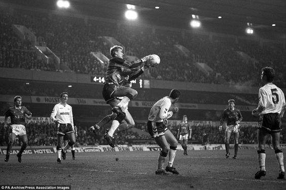 c13ad6151484adbc3449c30e3dd65300--tottenham-hotspur-everton.jpg