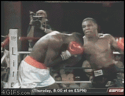 amazing-gif-pt3-boxing-knockout.gif