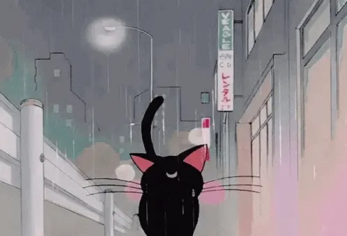 QLEyJ.gif