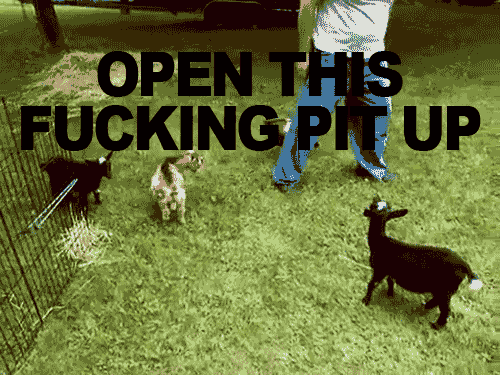 tumblr_mbwwxuuaPb1rwtze0o1_500.gif