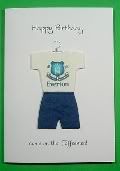 evertonf01_f01_1138739842_feature.jpg