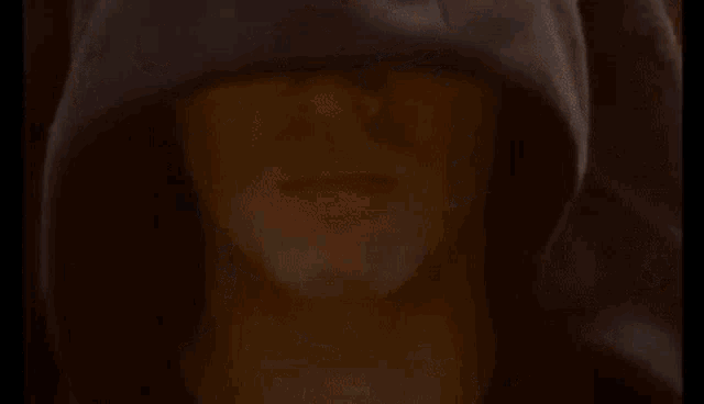 monty-python.gif