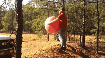 200.gif