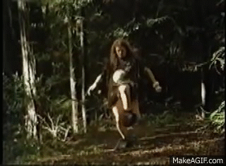 hR8h2R.gif
