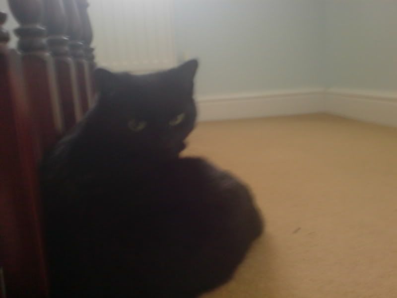 DSC00306-1.jpg