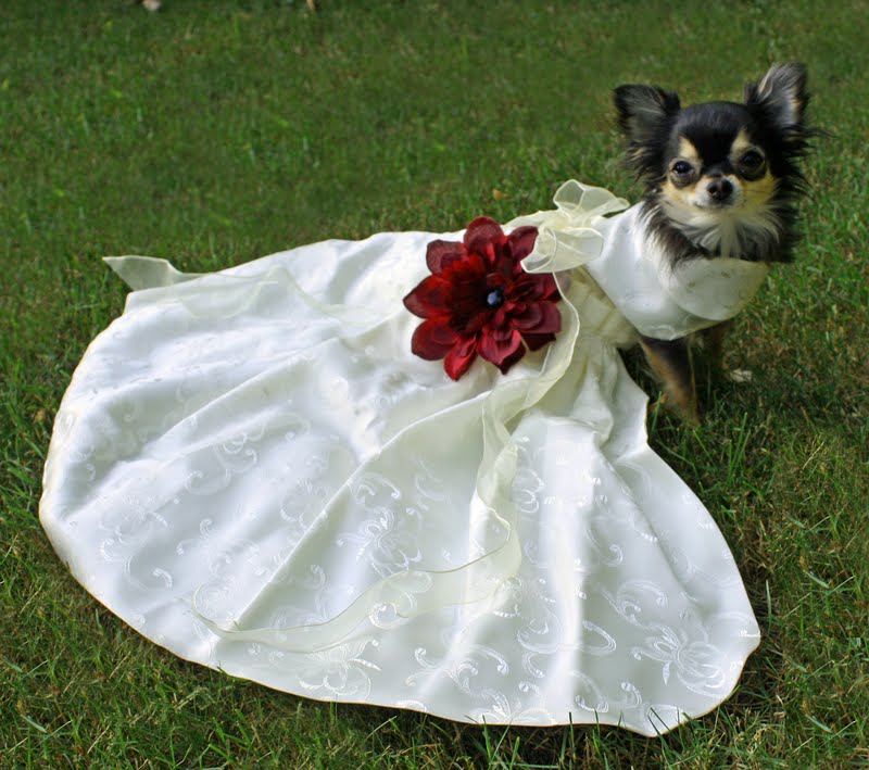 weddingdress13.jpg