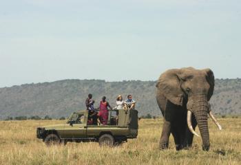 africa_kenya_serian_camp_elephant-bull.jpg