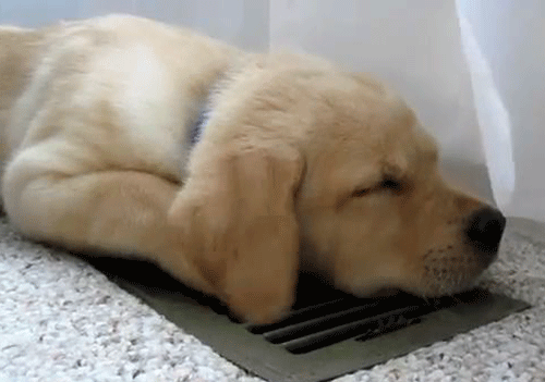 tumblr_m4uqjj0E8p1qfb46yo1_500.gif