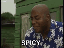 ainsley-harriet.gif