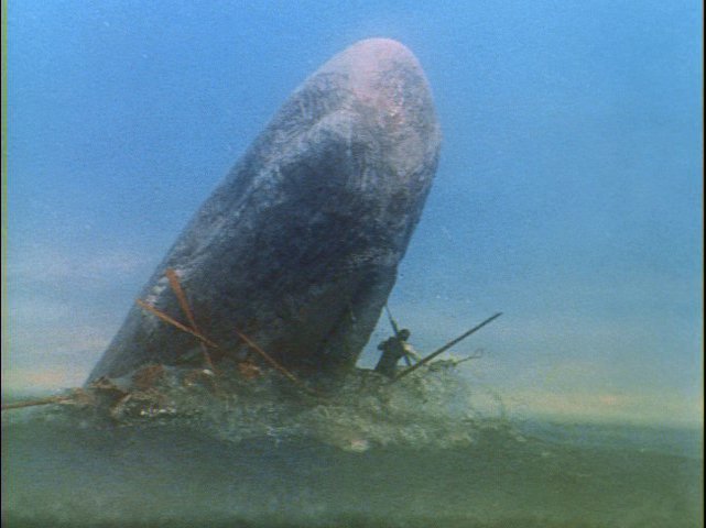 moby9.jpg