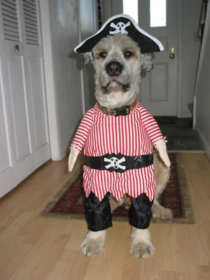pirate.jpg
