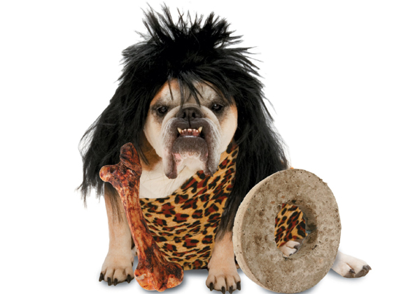 halloween-costumes-for-dogs.jpg