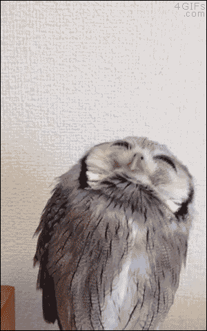 0538c3c8141b01c0d6992ff64985f716.gif