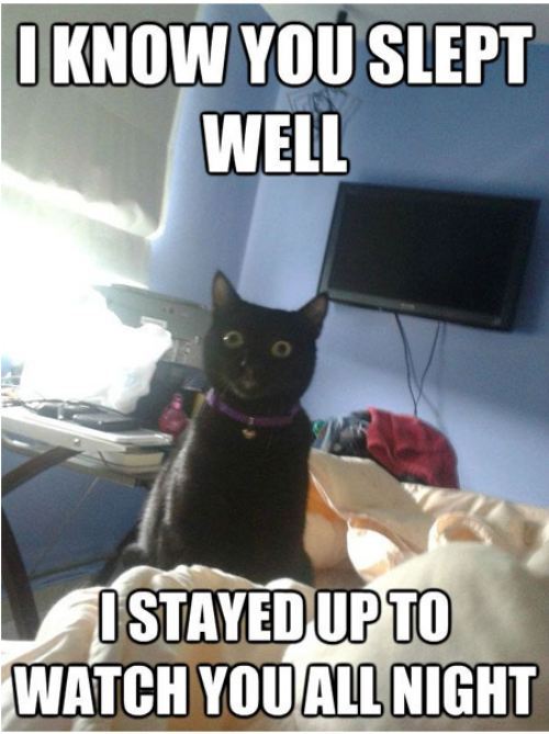 tumblr_m6k6wbmOfJ1r0wqrdo1_500.jpg