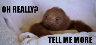 tumblr_m3m7xf0z6t1qfw2dno1_400.gif