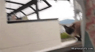 7zS4C.gif