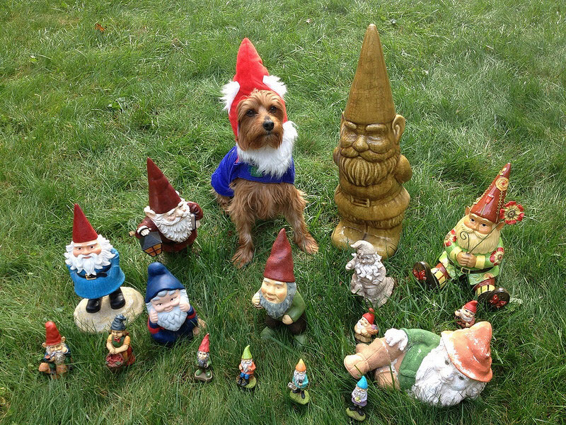 garden-gnome-dog.jpg